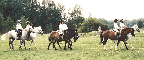 Ponnyridläger på Salsta